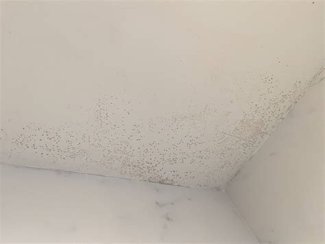 Is this mold/mildew? Is it a concern? (Bathroom Shower Ceiling) - Home ...