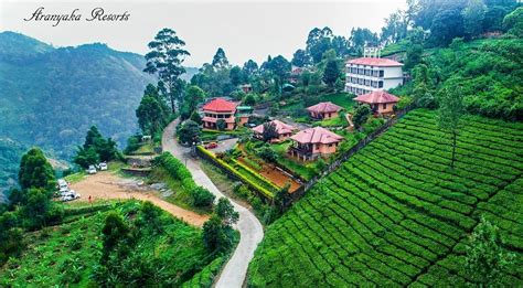 ARANYAKA RESORTS MUNNAR - Updated 2021 Prices & Hotel Reviews ...