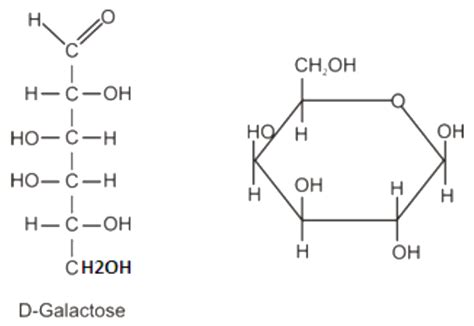 6. Structure of galactose