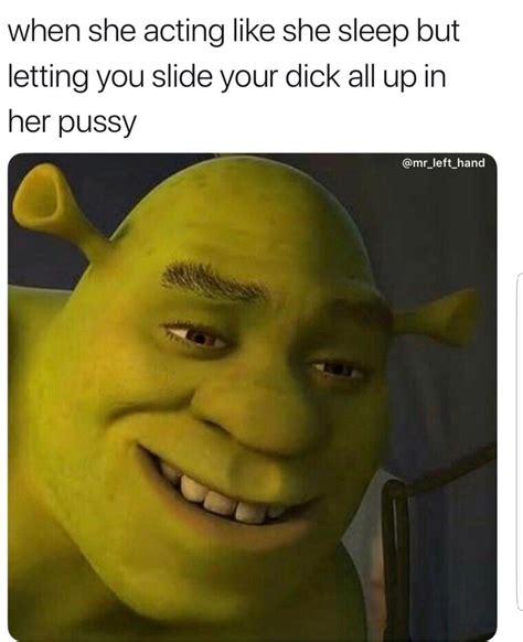 Pin By Melvie Junior On Bad Intentions Shrek Shrek Memes Romantic Memes | Hot Sex Picture