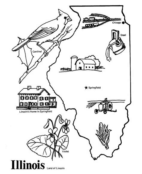 Wisconsinstate Bird Coloring Page - Coloring Home