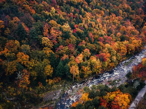 All You Need to Know about Vermont Fall Foliage | Shannon Shipman