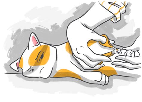 A Guide to Trimming Your Cat's Nails