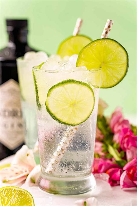 Classic Gin and Tonic Recipe - tips to make the best! - Rachel Cooks®