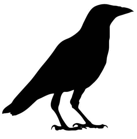 Cute raven bird Silhouette Vector, Clipart Images, Pictures - Clip Art Library