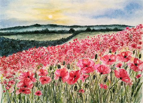 Poppy Field | Watercolors by Donnell Anderson