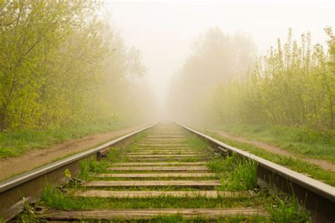 14,300+ Abandoned Railroad Track Stock Photos, Pictures & Royalty-Free ...