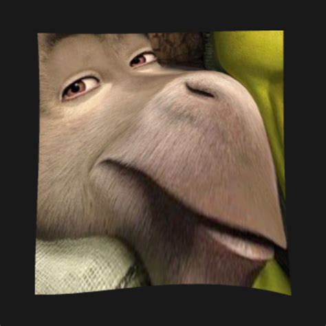 Donkey Staring Meme Shrek