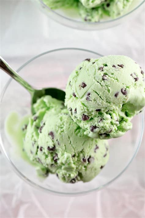 Mint Chocolate Chip Ice Cream | Bunsen Burner Bakery