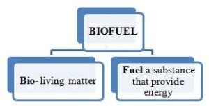 Biofuel: Types, Uses & Examples – StudiousGuy