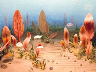 History of Earth - Ediacaran Period - (Proterozoic Eon) | Prehistoric ...