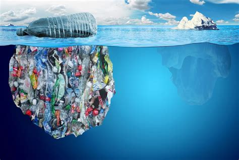 How plastic pollution harms marine life - SAFETY4SEA