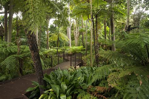 Royal Botanic Gardens Victoria | Things to do in Melbourne, Melbourne | Melbourne garden ...