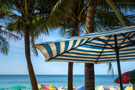 A Holiday on the Beach Under a Blue-white Strip Beach Umbrella and ...