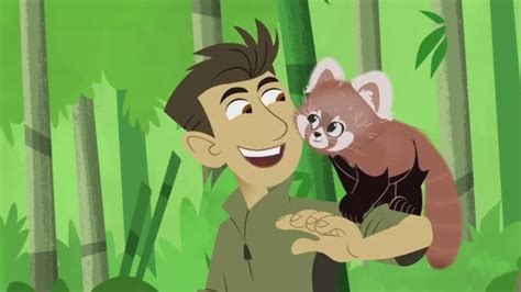 Wild Kratts Red Panda Rescue | On PBS Wisconsin