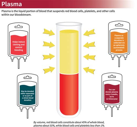 Plasma — Stanford Blood Center