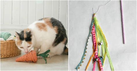 15 Easy DIY Cat Toys You Can Make for Your Kitty TODAY!