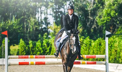 Showjumping competition, bay horse and rider in black uniform performing jump over the bridle ...