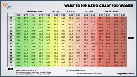 Waist to Hip Calculator – Waist and Hip Ratio Calculator