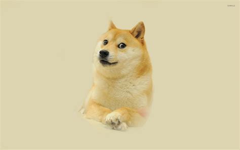 Doge Meme Wallpaper (85+ images)