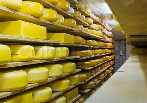 cheese factory | Stock image | Colourbox