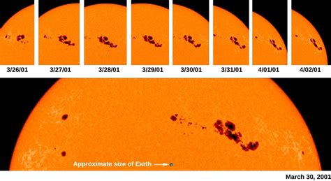 The Solar Cycle | Astronomy