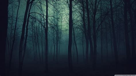 Dark forest, forest, 1366x768, dark, HD wallpaper | Peakpx