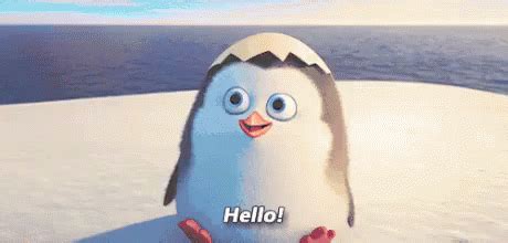 Cute Penguin Hello GIF - Penguin Hello Dayofpenguin - Discover & Share GIFs