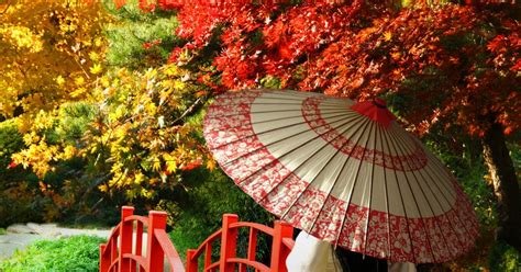 MyClayFantasy: October Theme: "Autumn in Japan"