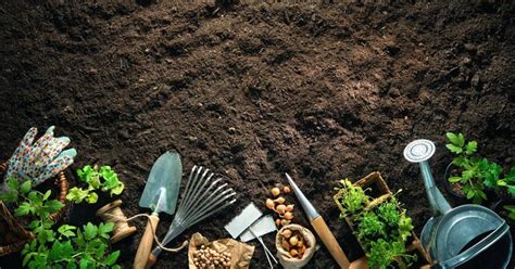 How to Make a Plastic Bottle Garden for Sustainable Gardening