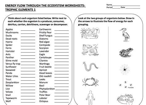 [Solved] . ENERGY FLOW THROUGH THE ECOSYSTEM WORKSHEETS: 2:2): Date... | Course Hero