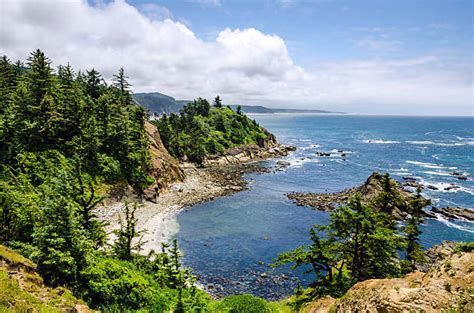 Royalty Free Oregon Coast Pictures, Images and Stock Photos - iStock