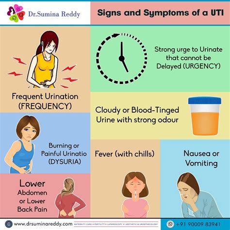 uti symptoms - DrBeckmann