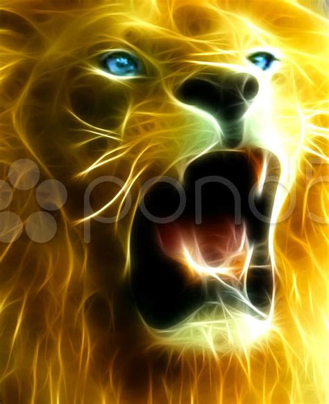 Lion With Blue Eyes Black And White Wallpaper - Videos Laughs