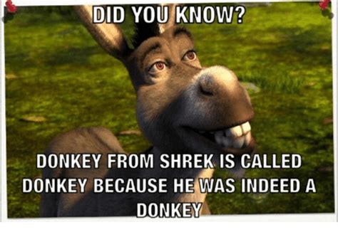 Really Really Donkey Shrek Meme Generator