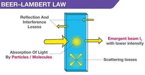 Beer-Lambert Law- Definition, Derivation, and Limitations