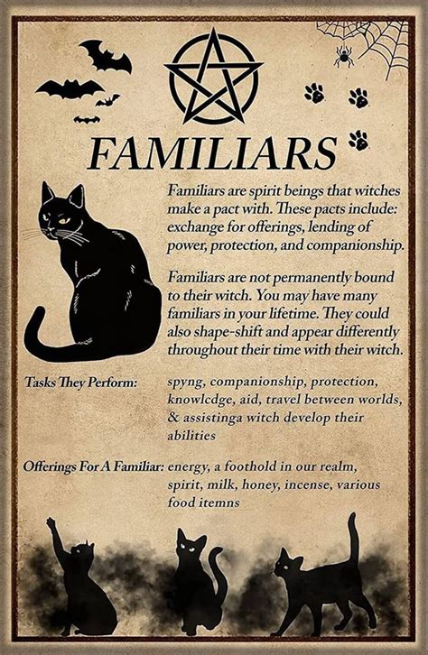 Familiar Spirit Black Cat Witch Knowledge Cat Lover Gift Kitchen Bar ...