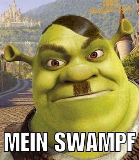 Funny Pictures Memes Shrek