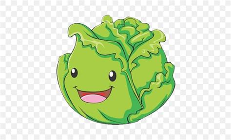 Cabbage Cartoon Vegetable Illustration, PNG, 558x500px, Cabbage, Amphibian, Cartoon, Drawing ...