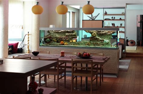 What to Consider in Aquarium Design - Oceanlife Aquatics