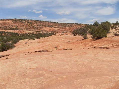 Kane Prehistory: Dinosaur Tracks at the Coral Pink Sand Dunes