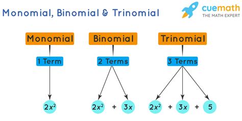 Monomial - Meaning, Definition and Examples of Monomials