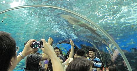 Manila Ocean Park in Manila, Philippines | Sygic Travel