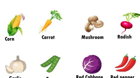 25 Vegetables Names In English, Definition And Examples, 48% OFF