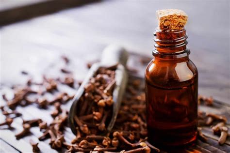 How To Use Clove Oil For Hair - 3 Easy Ways