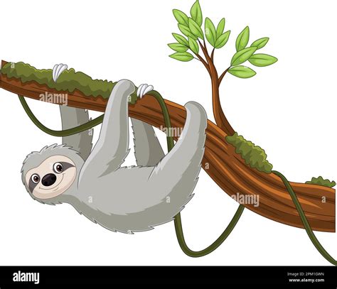 Cartoon sloth hanging on a tree branch Stock Vector Image & Art - Alamy