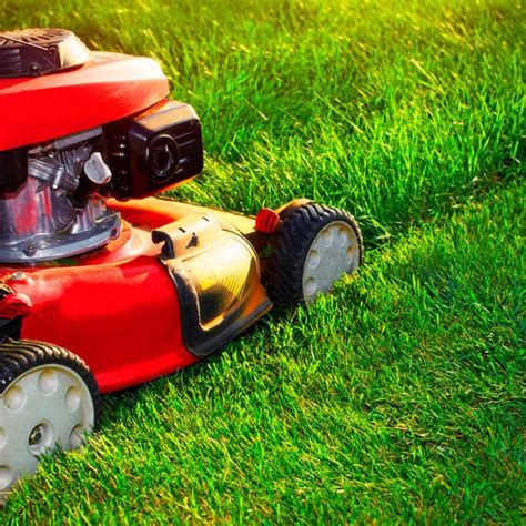 Lawn Mowing Tips for a Healthy Lawn | Calvert Lawn Care