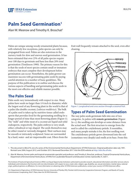 (PDF) Palm Seed Germination