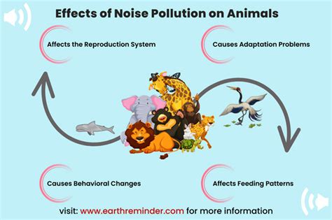 Adverse Effects of Noise Pollution on Humans & Animals | Earth Reminder