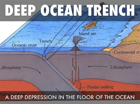 Deep Sea Trench Definition : Trench Definition Earth Science - The Earth Images ...